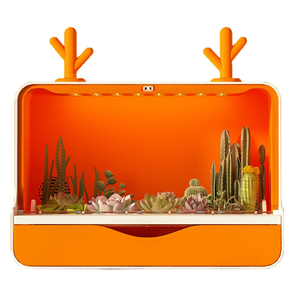 Pot à mini cactus avec lampe de croissance LED et système de drainage