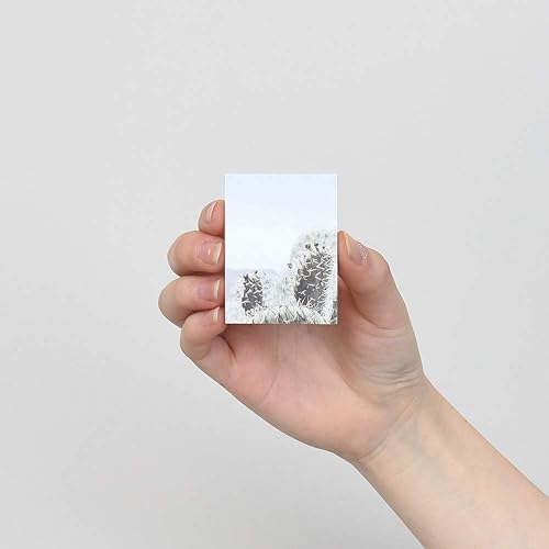 Miniatura 7 de Monolike Photo Sticky-It 5p Set - Last Summer - Un bloc de notas autoadhesivo, 50 hojas, diario pegajoso, diario, notas