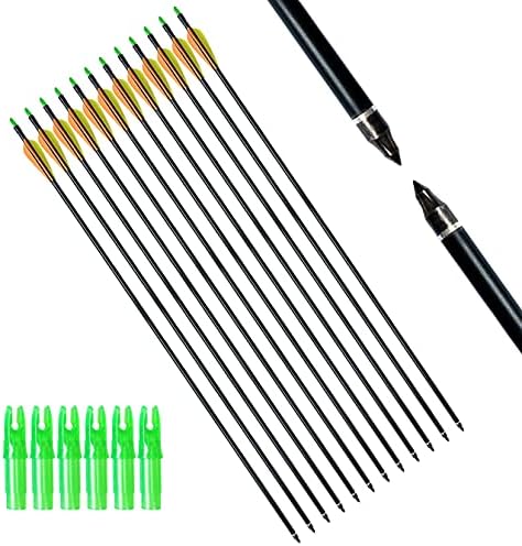 PANDARUS Archery 32inch/30inch 8mm Fiberglass Hunting Practice Arrows with Replaceable Arrowhead Spine 500 for Recure and Compound Bow Target (Pack of 12) PANDARUS Archery 32inch/30inch 8mm Fiberglass Hunting Practice Arrows with Replaceable Arrowhead Spine 500 for Recure and Compound Bow Target (Pack of 12)