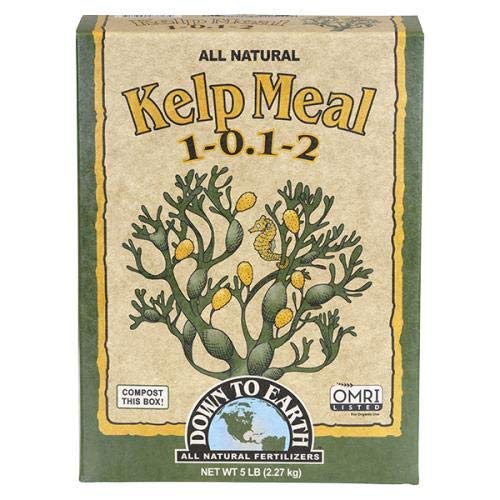 Down To Earth Kelp Meal 5lb
