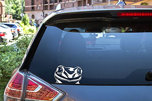 Image of WIRESTER 6 inch Clear Vinyl Decal Sticker Decoration for Car Window (Or Any Flat Surface) - Pond Frog