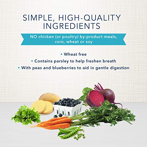 Blue Buffalo Dental Bones Large Natural Dental Chew Dog Treats, (50 Lbs And Up) 12-Oz Bag #TOP4