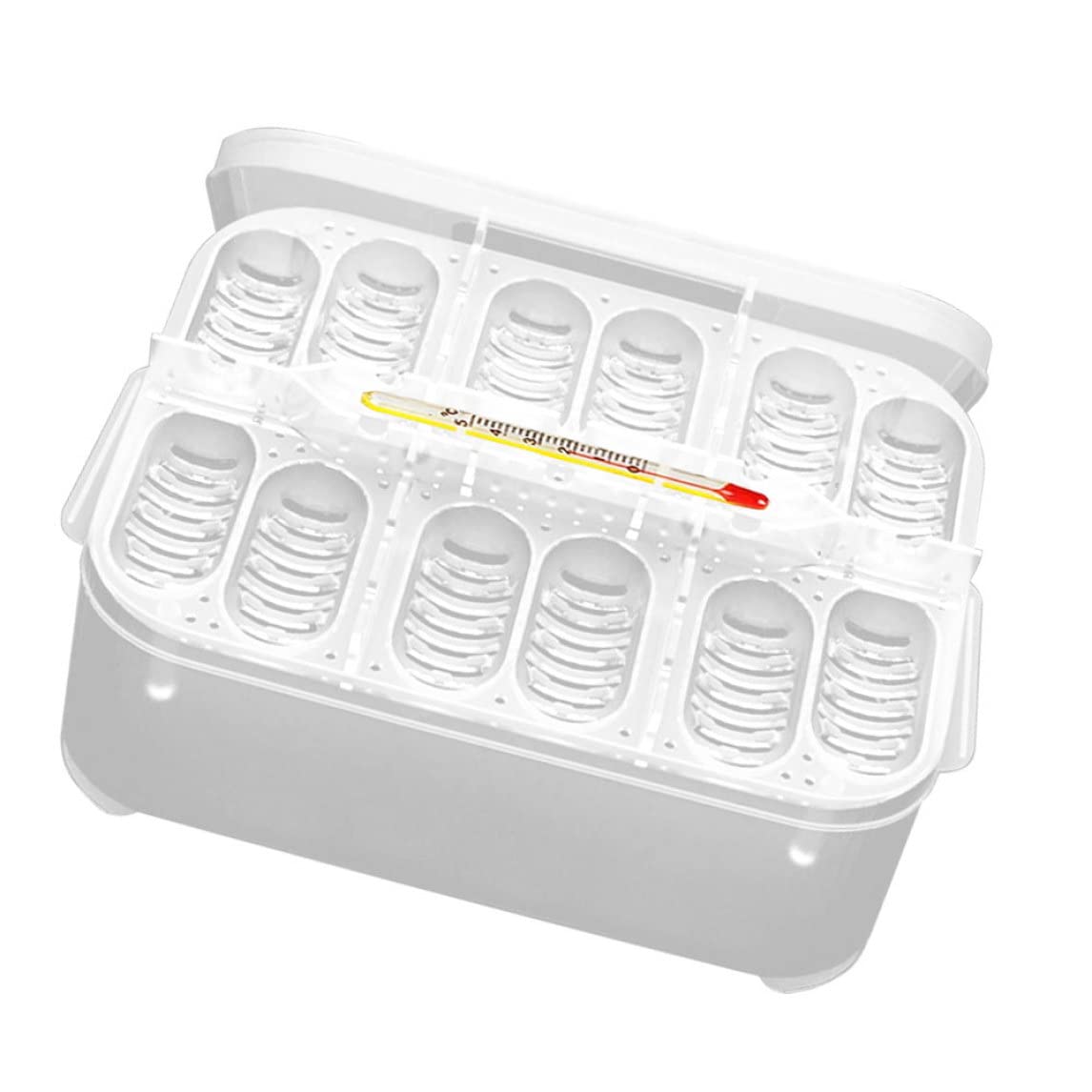 Incubadora de Reptiles, Caja de incubación de Reptiles Reptile Incubator Bandeja de Huevo Bandeja con 12 cuadrículas para Tortuga Gecko Lizards Mane