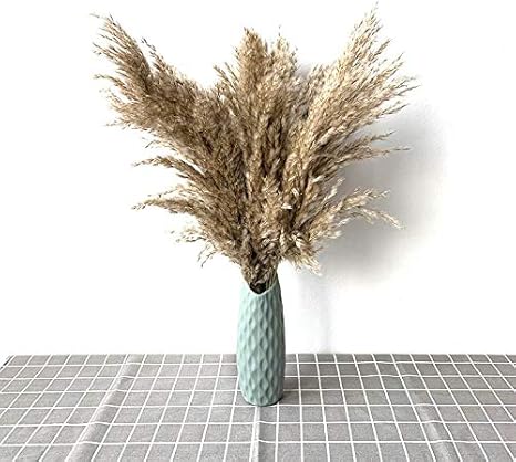 Amazon Co Jp Shuiquan パンパス 草の装飾工場ホーム結婚式の装飾ドライフラワーの房の羽の花の天然ヨシ背の高い 22 プラスチックの花瓶 色 青い サイズ M ホーム キッチン