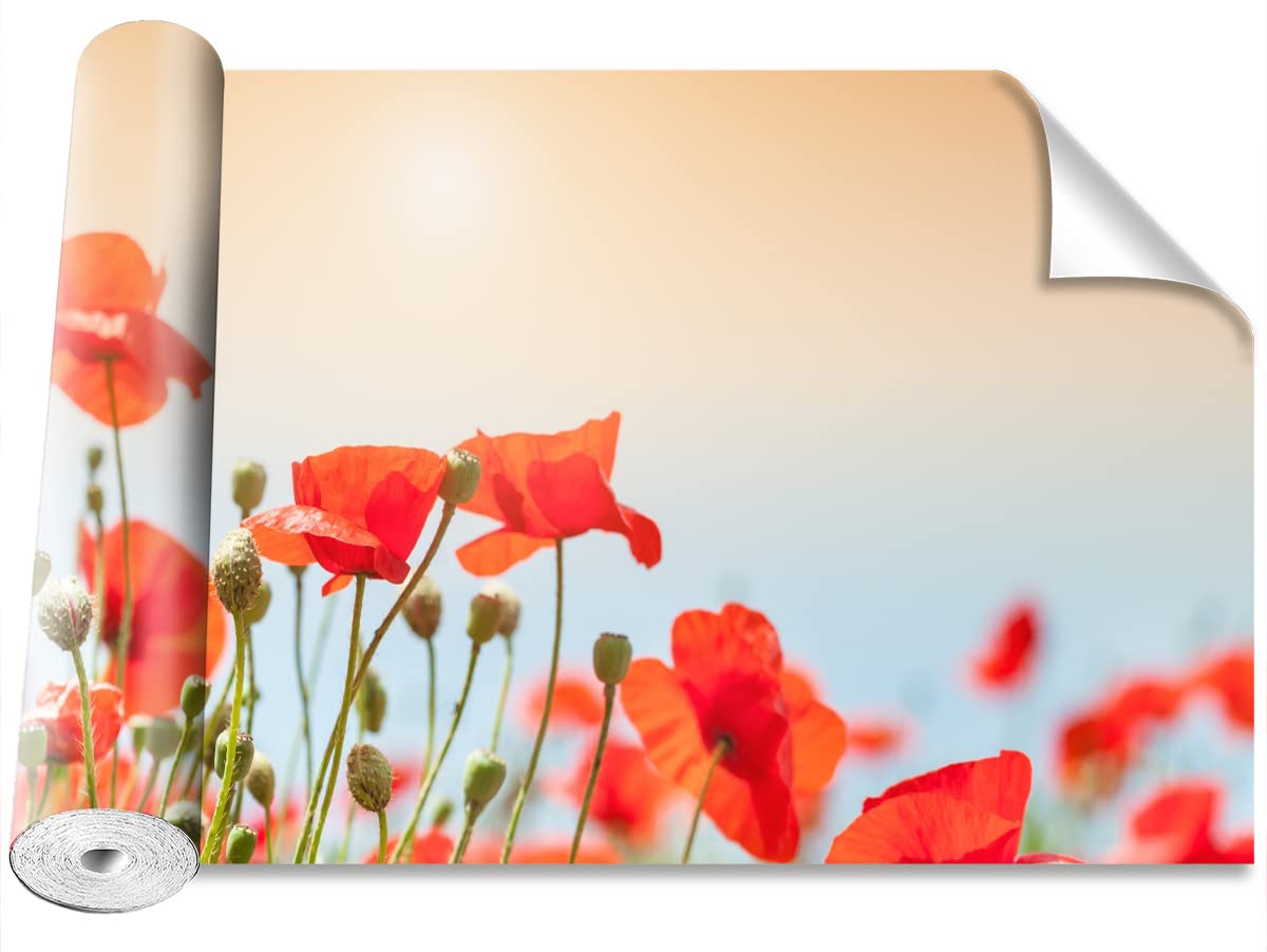 Papier peint fleurs de pavot Tulup pour relooker un mur facilement
