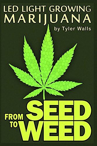 From SEED to WEED: LED light growing MARIJUANA