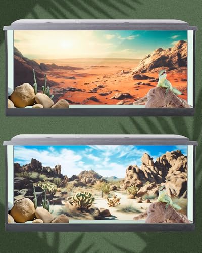 Image of Breling 4 Pcs 48 x 18 Inch Reptile Habitat Background with Nano Glue Gobi Sun Cactus Stone and Green Tree Fern Stream Terrarium Background Polyester Durable Aquarium Accessories