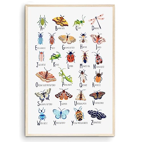 Image of Nationcog Insect Alphabet Print, Nursery Wall Art, Bugs Print, Kids Room Decor, Nursery Decor, Alphabet Poster, Kids Wall Art, Gift for Him Her (Unframed) (9x11)