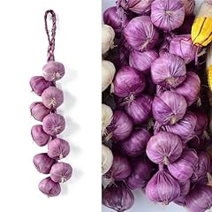 Purple Garlic, 1pc