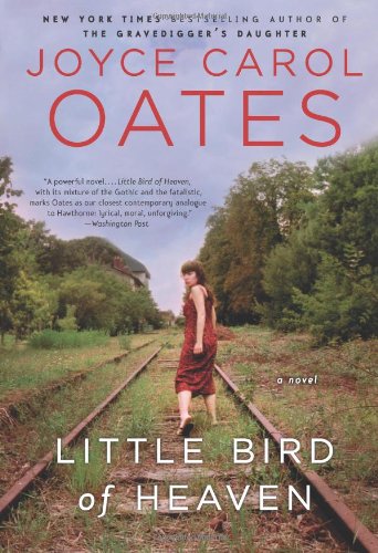 Little Bird Of Heaven: A Novel