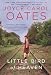 Little Bird Of Heaven: A Novel