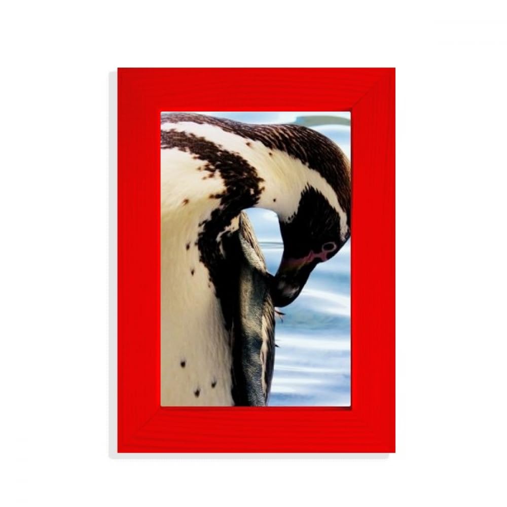 Cadre photo de l'Antarctique océan rouge aux finitions soignées