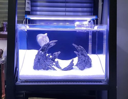 Miniatura 4 de SINQORCN - Alma cañón para acuario (lámpara acuática)