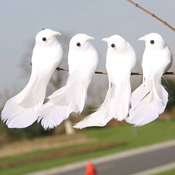 Amazon.co.jp: 人工鳥 飾り物 リアル 小鳥模型 鳥モデル 置物