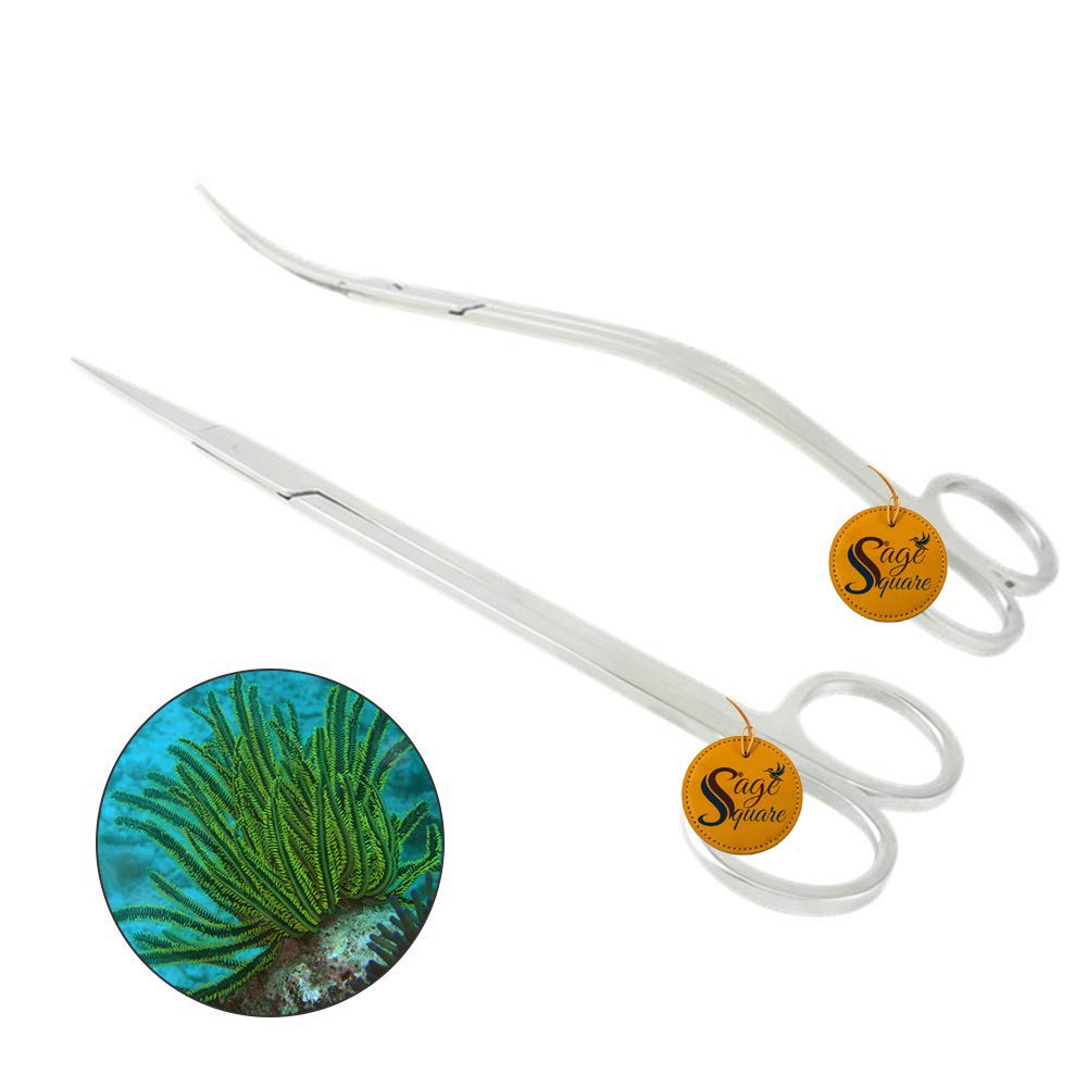 Sage Square Jumbo Size Professional Aquarium Tongs Scissor Long Stainless Steel Scissor Tool for Fish Tank, Aquatic Plant Cleaning (Wave & Straight) (B086DSBQRT) Amazon Price History, Amazon Price Tracker