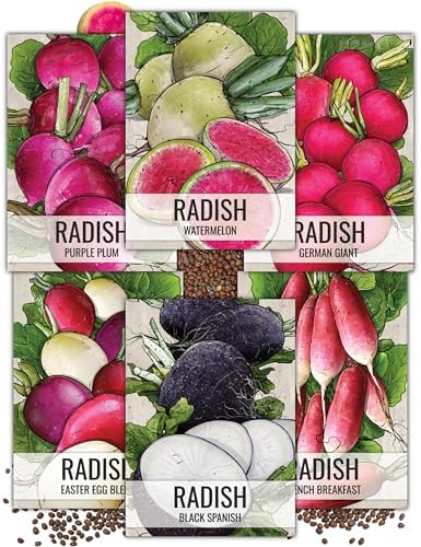 Seed Needs, Multicolor Radish Seed Packet Collection (6 Individua...