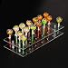 TRANSHOME 20 Hole Lollipop Stand Acrylic Display Shelf Cake Pop Holder(20 Hole)
