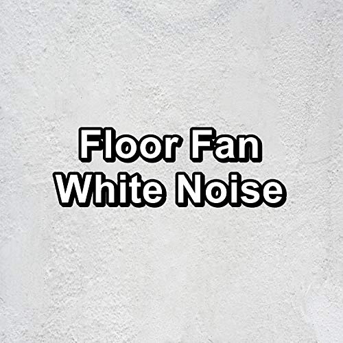 List of Ten Best Floor Fan For White Noise Top Picks 2023 Reviews