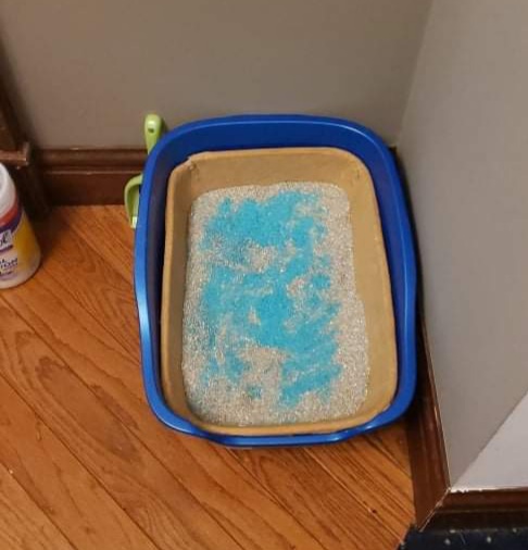 Fresh Step Clumping Cat Litter, Multi-Cat, Long Lasting Odor Control Kitty Litter with Activated Charcoal, Low Dust Formula, 14 lb photo review