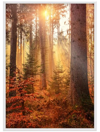 RAWWEST.BIS Alu Bilderrahmen 70x100 cm mit schnellem Montage-System Plakatrahmen, Alurahmen mit Acrylglas Rahmen aus Aluminium für Bilder Poster Fotos Posterrahmen Fotorahmen, Weiß