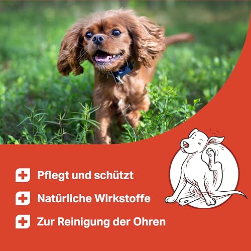 MEDIDOG Ohren-Öl – 50 ml – gegen Ohr-Milben & Jucken – Pflege für Hunde mit Jojobaöl – Ohrenpflege – Ohrenöl-Extrakt