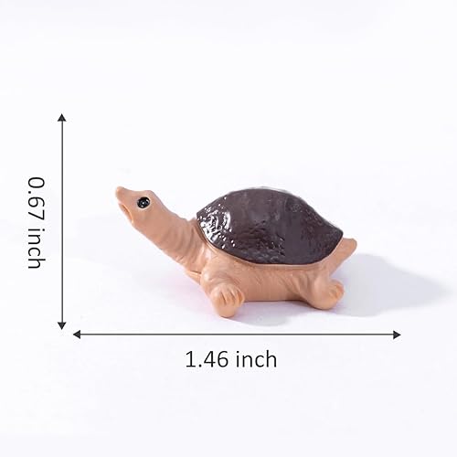 Miniatura 6 de MAOMIA 8 piezas de resina de playa tortuga marina miniatura, decoración de pecera, jardín de hadas, casa de muñecas, decoración de paisaje