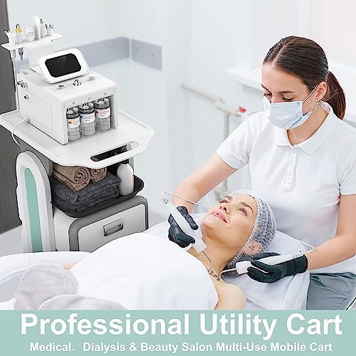 Medical Cart with Wheels - Mobile Ultrasound Cart with 2 Drawers - Dialysis & Supplies Medical Storage Cart - Portable Rolling Instrument Tray Tool Station Fit Medical Needs