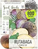 Seed Needs Rutabaga Seeds for Planting Purple Top Rutabagas - Non-GMO Heirloom & Open Pollinated Vegetable Seeds to Plant an Outdoor Home Grown Veggie Garden (1 Pack)