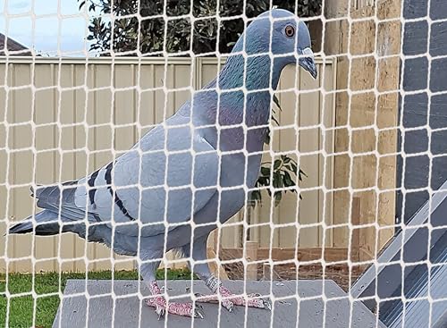 Image of BENAVJI Bird Net /Anti Bird Net /Pigeon Net /Garden Net /Bird Control Net UV Stabilised HDPE Monofilament Netting Solution Natural Color (10 FT X 4 FT)