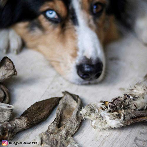 Schecker Hundesnack - Kaninchenohren mit Fell - 500g - ideal verträglicher Kausnack für Hunde