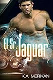 El Sr. Jaguar (Romance gay)