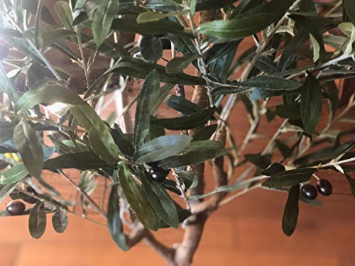 Generic Funeral Director Gifts for Men | Funny Keep Calm Or I Will Use My Funeral Director Voice Braided Leather Bracelet | Father's Day Unique Gifts for Funeral Directors, Small, Black