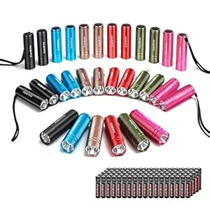 EverBrite 30-Pack Mini Flashlight S...