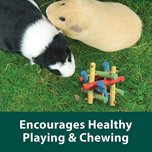 Kaytee Knot Nibbler Chew Toy for Guinea Pigs and Rabbits, Medium - image 3