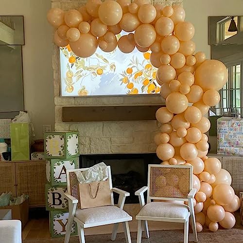 Image of 113 Pack Nude Balloons, Beige Apricot Balloon Garland Arch Kit 18 /12 /10 /5 Inch, Neutral Cream Peach Latex Party Balloons, Blush Taupe Helium Balloons for Boho Birthday Wedding Baby Shower Decorations