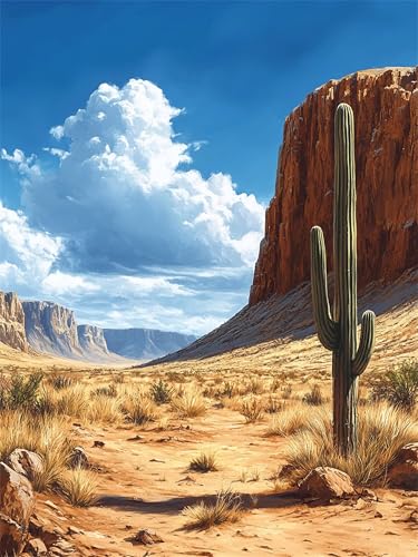Peinture numero adulte paysage cactus et activité manuelle enfant 40x50cm