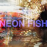 NEON FISH 歌詞
