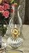 Lamplight Farms Ellipse Oil Lamps, 1 Count