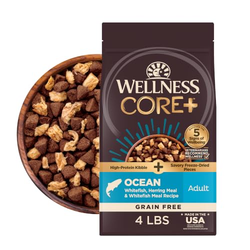 Image of Wellness CORE+ Adult Dry Dog Food with Freeze Dried Pieces, Grain Free Kibble+, Natural, High Protein, Chicken Free, Whitefish, Herring, and Salmon Recipe, 4 lb Bag