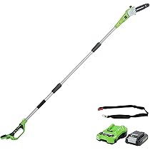 Greenworks G24PS20K2 Sega Potatrice telescopico a Batteria, Lunghezza Barra 8 Pollice (20cm), Velocità Catena 6,7m, s, 3,2kg, Asta 2,6m, Batteria 24V 2Ah e Caricabatterie, Garanzia 3 Anni