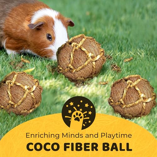 Image of SunGrow Assorted Rabbit & Cat Chew Balls, Teething Activity Toy for Pocket Pets, Improves Dental Health, Environment Friendly, Stress Reliever (Coconut Fiber, 3 Pcs)