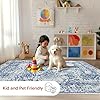 nuLOOM Odell Faded Vintage Area Rug, 9x12, Light Blue