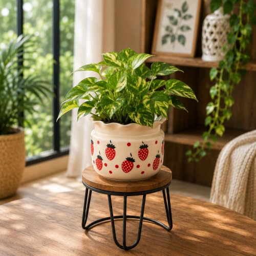 Image of Niyara Ceramic planters pots for Indoor Outdoor Home, Garden Office Decor Balcony Planters Gamla Flower Size Small 6 inches (Strawberry Jaipuri Print)