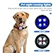2 Stück Sicherheit Haustier Lichter, USB Wiederaufladbar LED Licht Leuchtanhänger Hund, 3 Blinkmodis Wasserdichte Blinklicht Hund für Hunde, Katzen（blau+weiß）