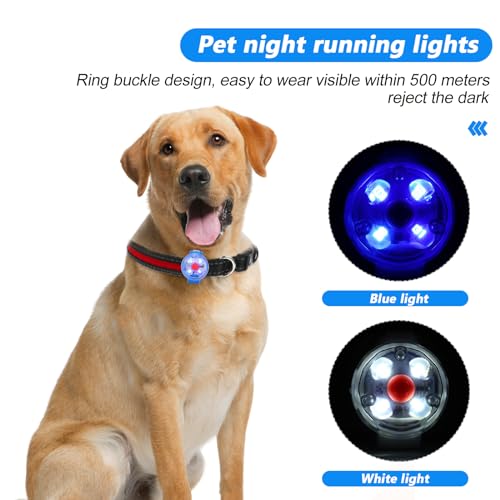 2 Stück Sicherheit Haustier Lichter, USB Wiederaufladbar LED Licht Leuchtanhänger Hund, 3 Blinkmodis Wasserdichte Blinklicht Hund für Hunde, Katzen（blau+weiß）