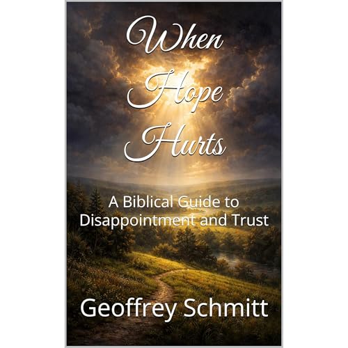 When Hope Hurts Audiolibro Por Geoffrey Schmitt arte de portada