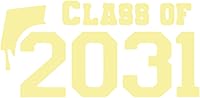 Vista 33 de Class of 2031 Iron On Decal, Graduation Shirt Transfer, Graduate Tshirt Patch, DIY Crafts, Graduation Cap, Pick Size and Color, Iron-On Almost Old