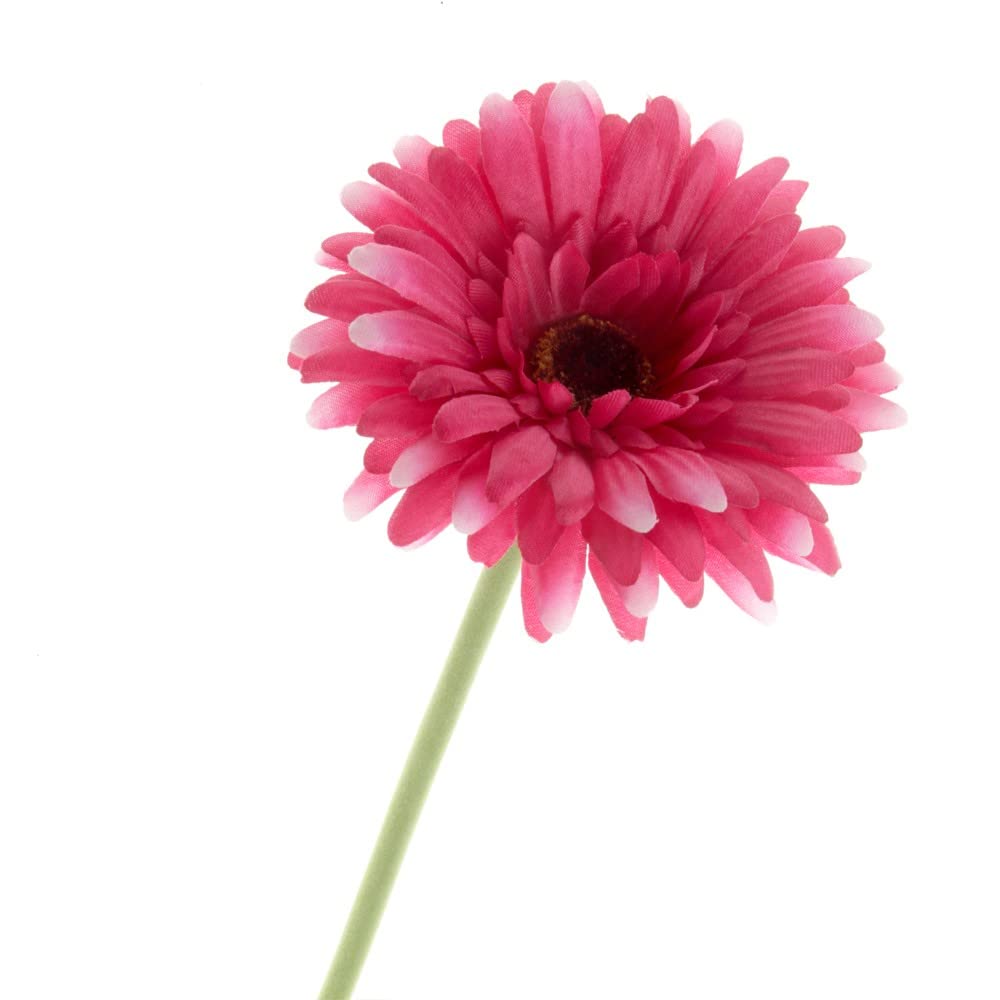 Corsage Creations Artificial Gerbera | 60cm Long-Stemmed Flower | Lifelike & Vibrant | Ideal for Bouquets, Centerpieces & Corsages | Realistic, Long-Lasting Artificial Flower (Cerise)