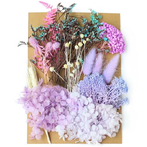 WUMZIRA Natürliche Getrocknete Blumen, Trockenblumen Set, für DIY Gepresste Blumen, Scrapbooking, DIY-Kerze, Schmuckanhänger Basteln