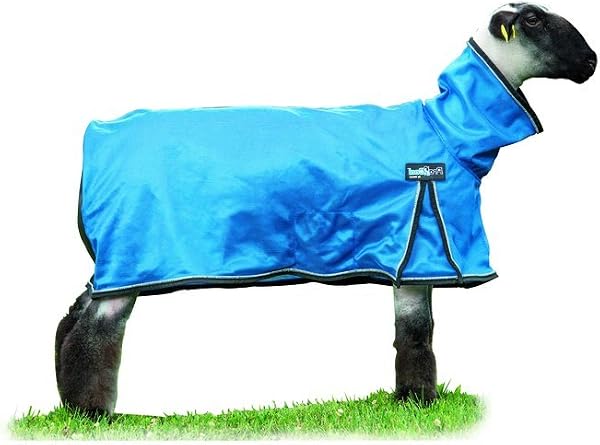 Weaver Leather ProCool Mesh Sheep Blanket Hurricane Blue with Reflective Piping, Medium - 3